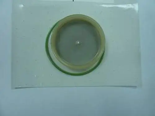 Runde Filtereinsatz-Dichtung mit O-Ring, in neutralen Farben, auf hellem Untergrund präsentiert. Produkt von Remeha, geeignet für verschiedene Anwendungen.